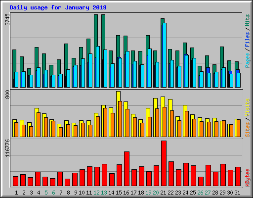 Daily usage for January 2019