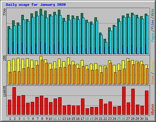 Daily usage for January 2020