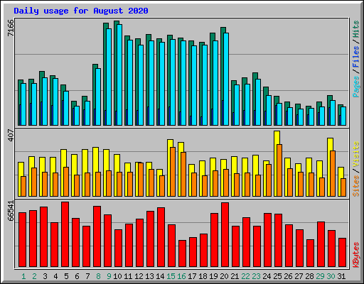 Daily usage for August 2020