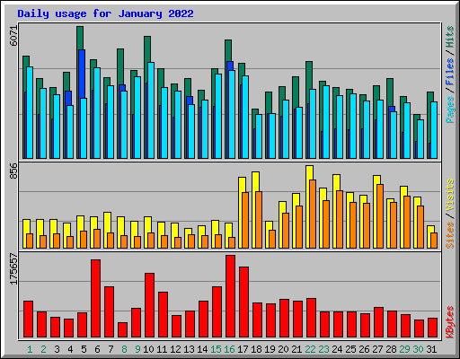 Daily usage for January 2022
