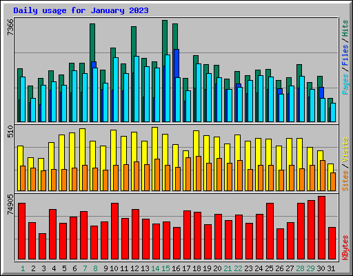 Daily usage for January 2023