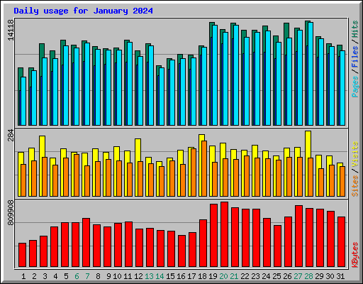 Daily usage for January 2024
