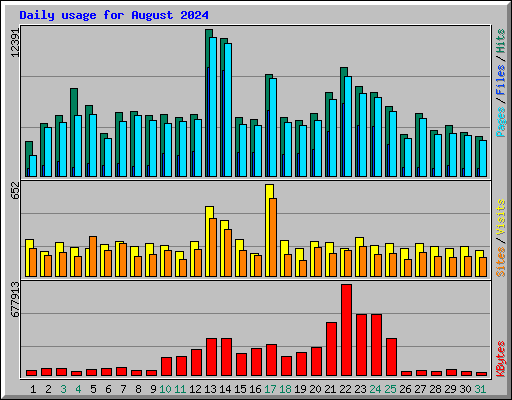 Daily usage for August 2024