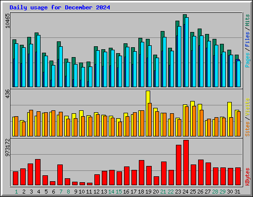Daily usage for December 2024