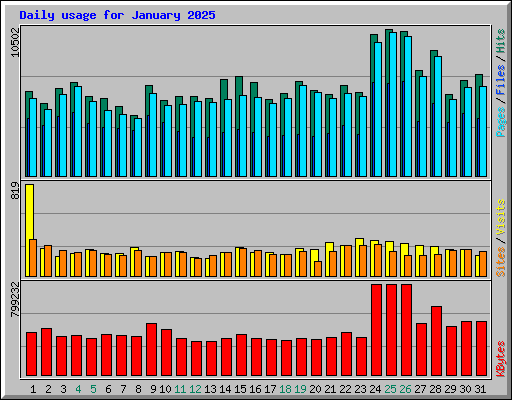 Daily usage for January 2025