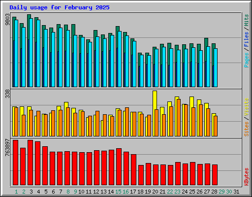Daily usage for February 2025