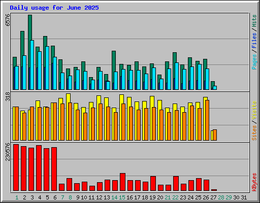 Daily usage for June 2025