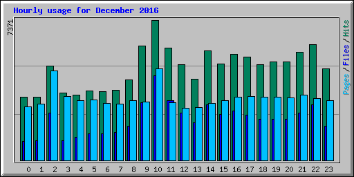 Hourly usage for December 2016