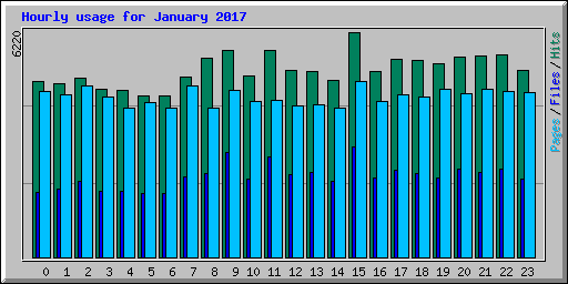 Hourly usage for January 2017