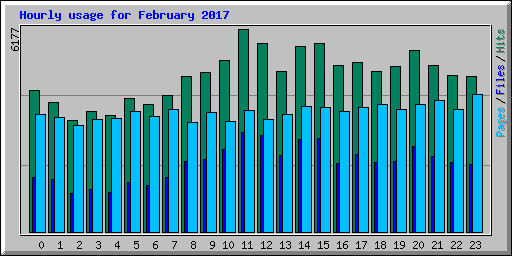 Hourly usage for February 2017