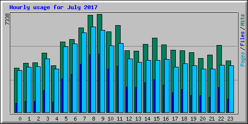 Hourly usage for July 2017