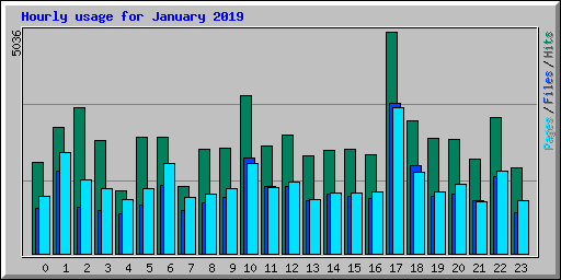 Hourly usage for January 2019