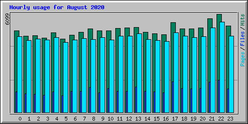 Hourly usage for August 2020