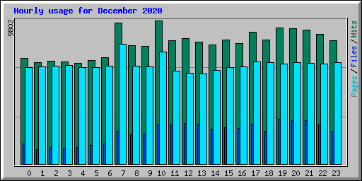 Hourly usage for December 2020
