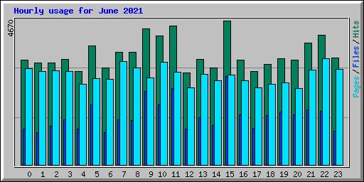 Hourly usage for June 2021