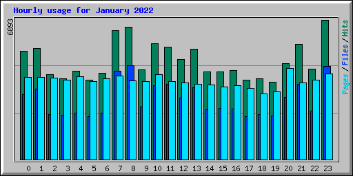 Hourly usage for January 2022