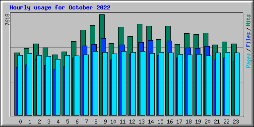 Hourly usage for October 2022
