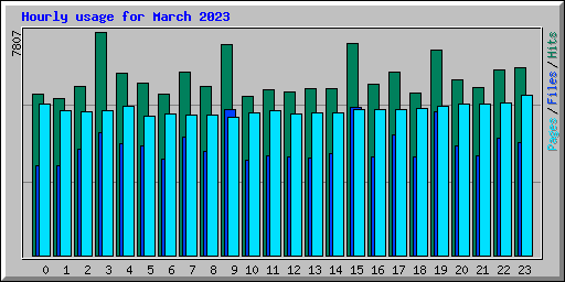Hourly usage for March 2023