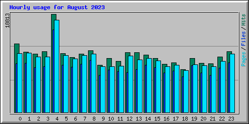 Hourly usage for August 2023
