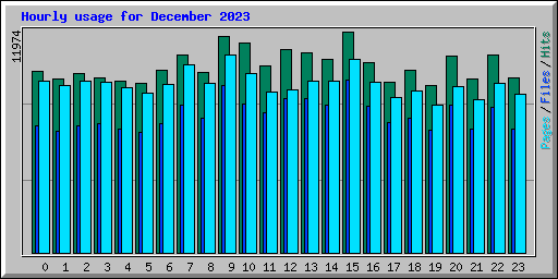 Hourly usage for December 2023