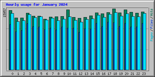 Hourly usage for January 2024