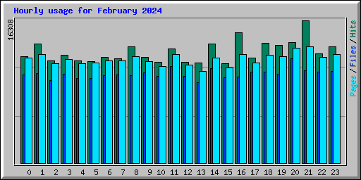 Hourly usage for February 2024