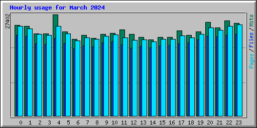 Hourly usage for March 2024