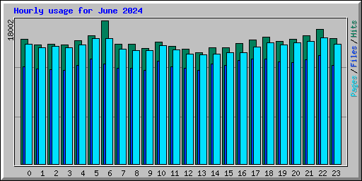 Hourly usage for June 2024