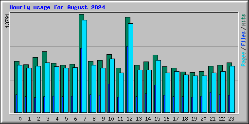 Hourly usage for August 2024