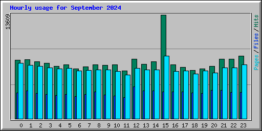 Hourly usage for September 2024