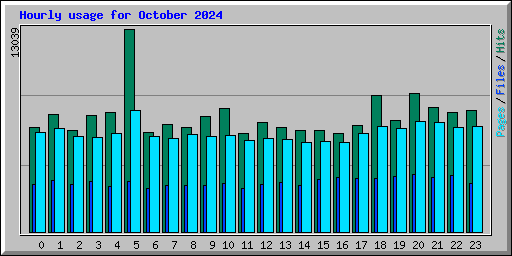 Hourly usage for October 2024