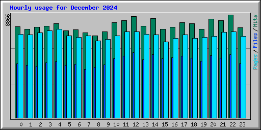 Hourly usage for December 2024