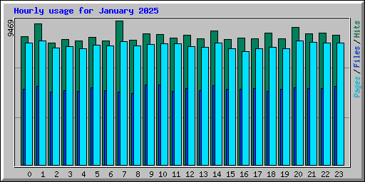 Hourly usage for January 2025