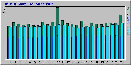 Hourly usage for March 2025