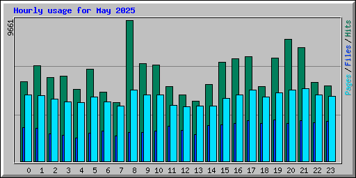 Hourly usage for May 2025