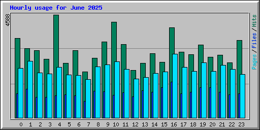 Hourly usage for June 2025