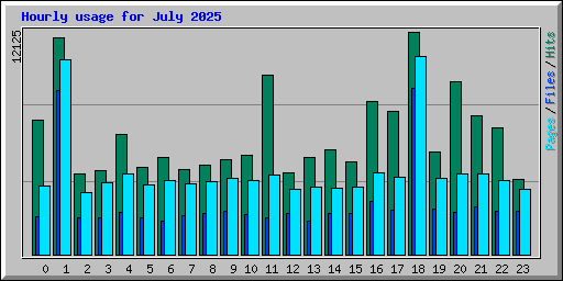 Hourly usage for July 2025
