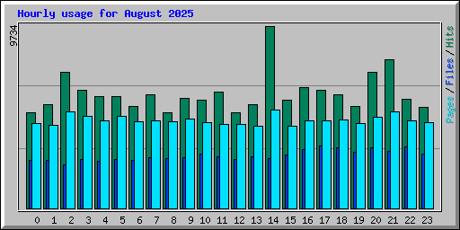 Hourly usage for August 2025