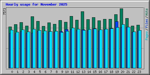 Hourly usage for November 2025