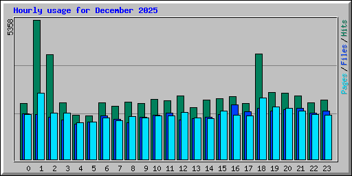 Hourly usage for December 2025